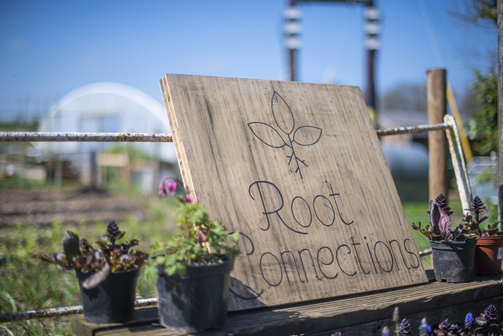 Community Garden - part of Elims Direct Access Community (DAC) for rough sleepers at Manor Farm near Wells