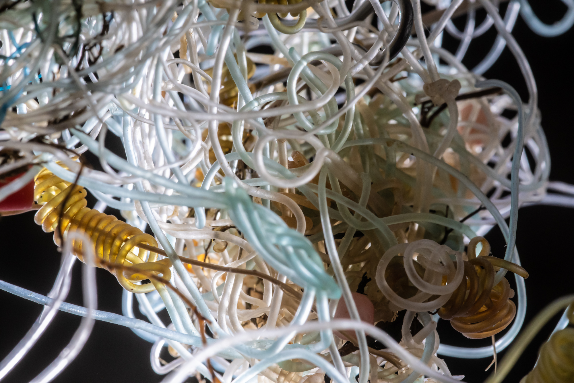 Abandoned fishing line found on a Welsh beach