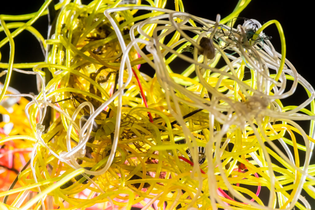 Abandoned fishing line found on a Welsh beach