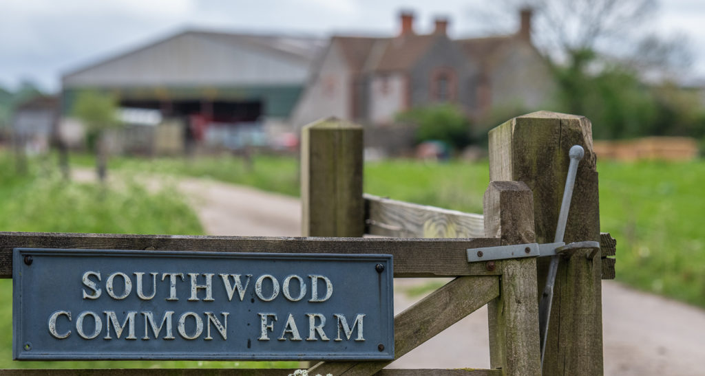 Agricultural photography