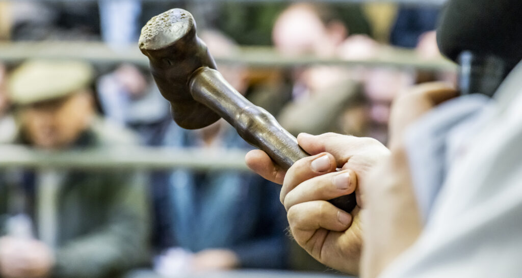 An auctioneers gavel (hammer) at Frome Lifestock Market