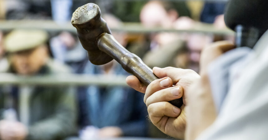 An auctioneers gavel (hammer) at Frome Lifestock Market
