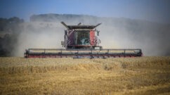 Case Axial Flow 250 combine harvesting wheat