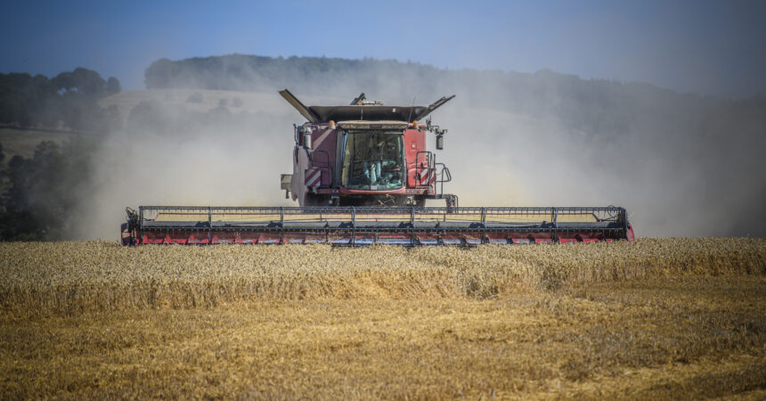 Case Axial Flow 250 combine harvesting wheat