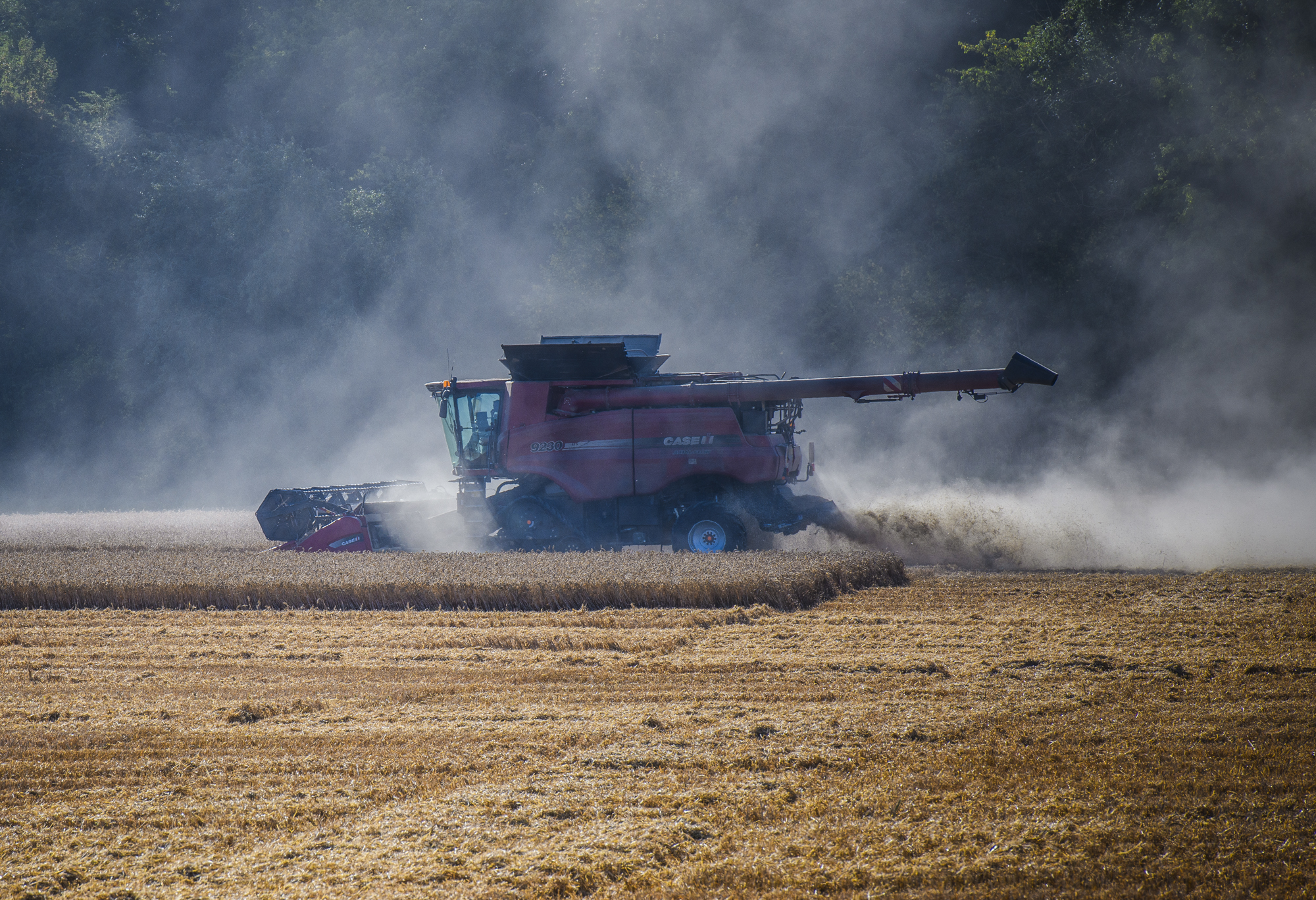 Case 9230 combine harvester in dust cloud