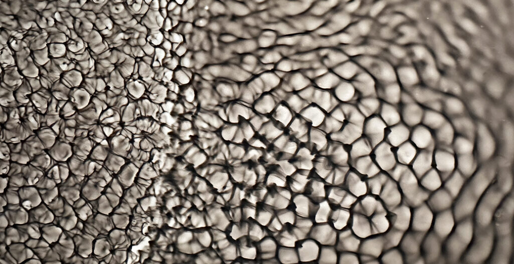 Detail of water ripple photogram