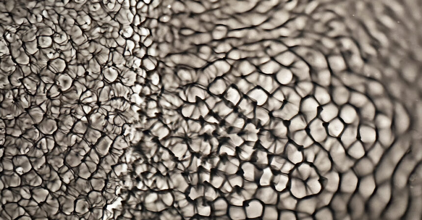 Detail of water ripple photogram