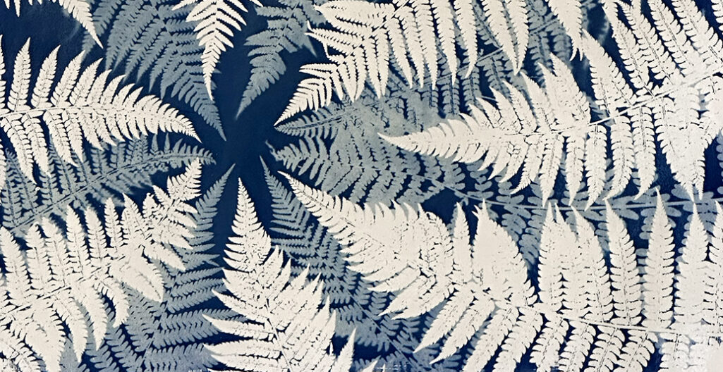 Multiple exposure cyanotype