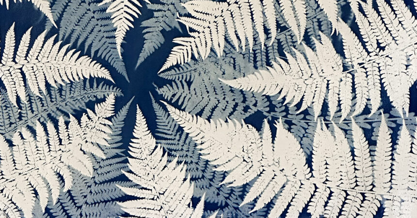 Multiple exposure cyanotype